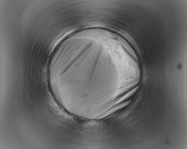 X0000115720806200912031549