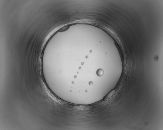 X0000115720808200912031549