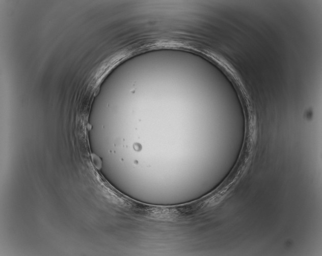 X0000115720809200912031549