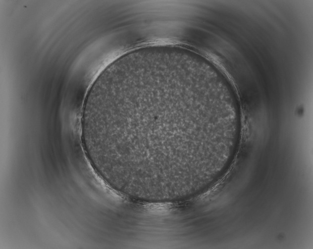 X0000115720810200912031549