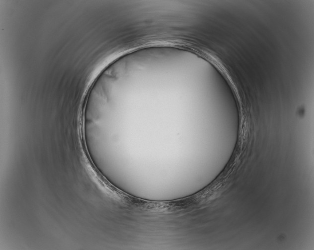 X0000115720811200912031549