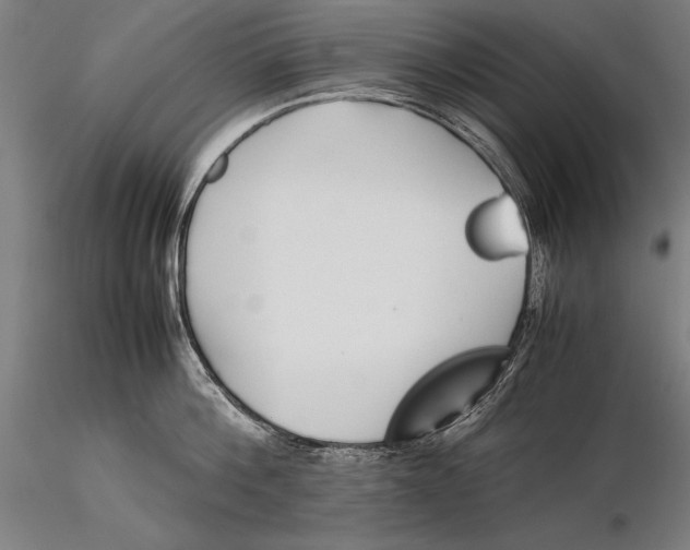 X0000115720812200912031549