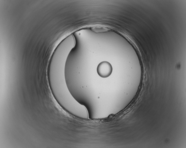 X0000115720813200912031549