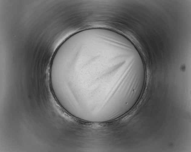 X0000115720814200912031549