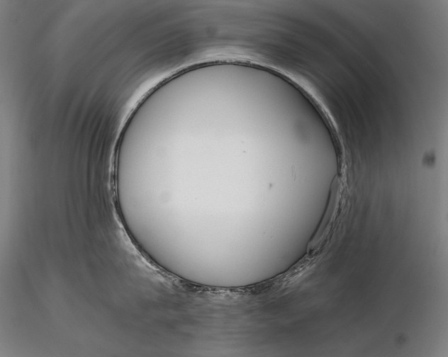 X0000115720815200912031549