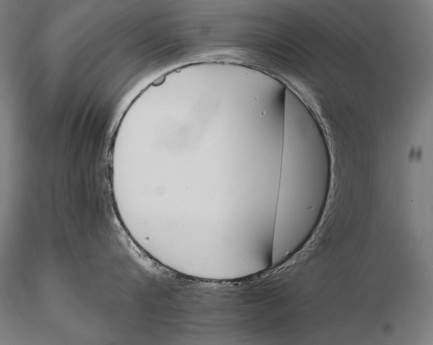 X0000115720816200912031549