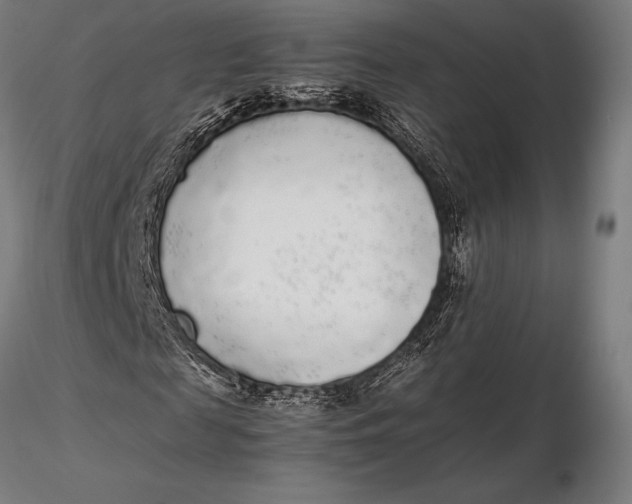 X0000115720817200912031549