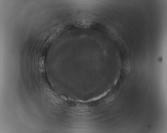 X0000115720818200912031549