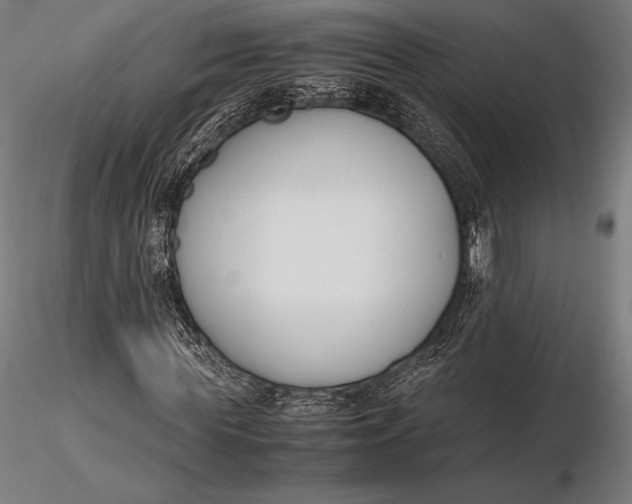 X0000115720819200912031549