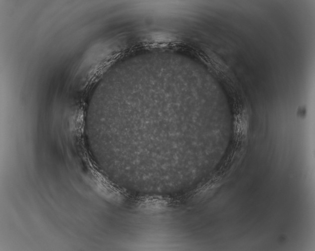 X0000115720820200912031549