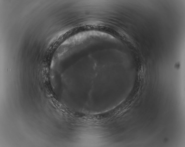 X0000115720822200912031549
