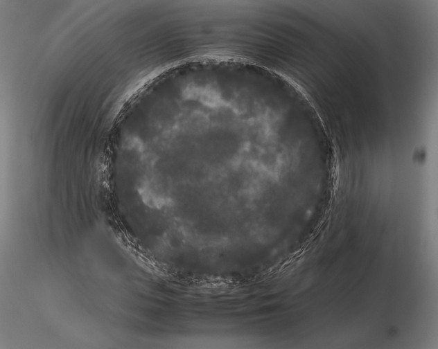 X0000115720823200912031549