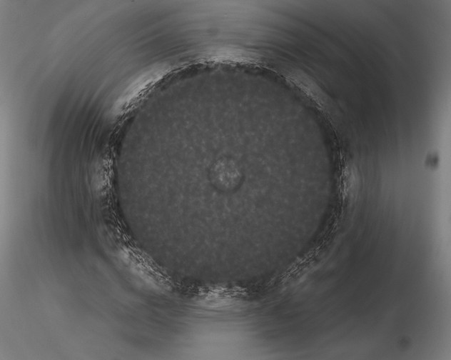 X0000115720824200912031549