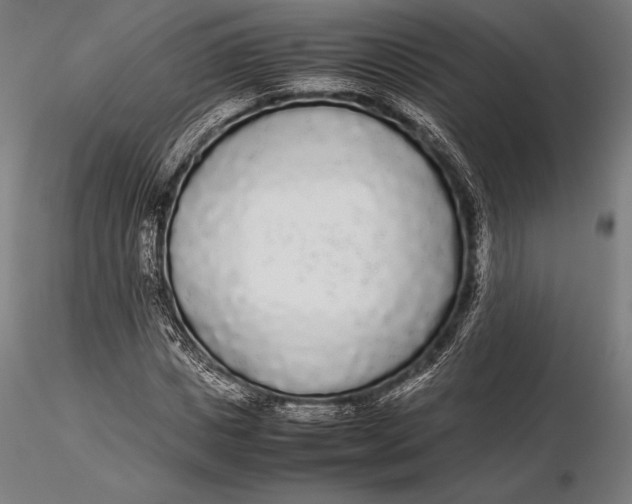 X0000115720825200912031549