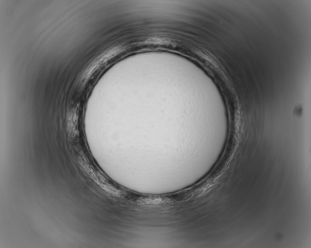 X0000115720826200912031549