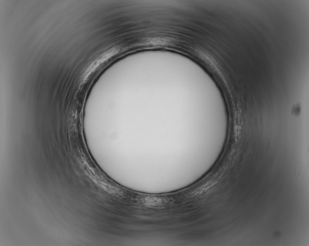 X0000115720827200912031549