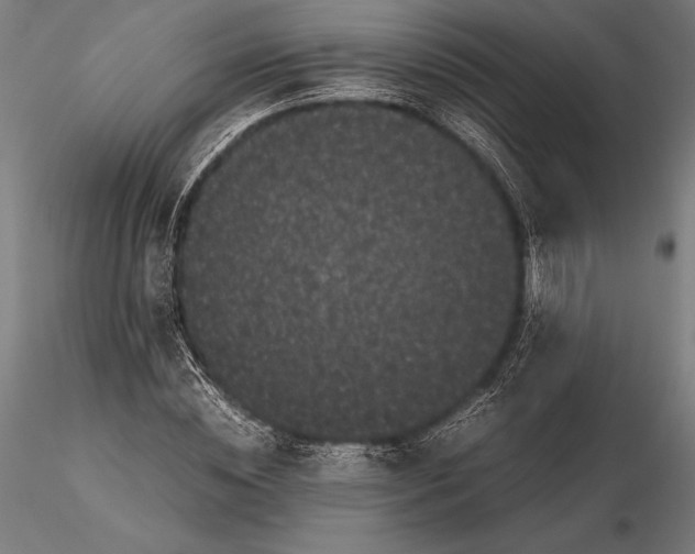 X0000115720828200912031549