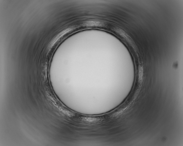 X0000115720829200912031549