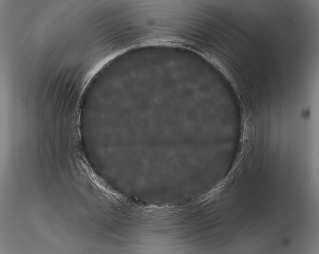 X0000115720830200912031549