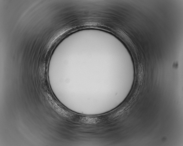 X0000115720831200912031549