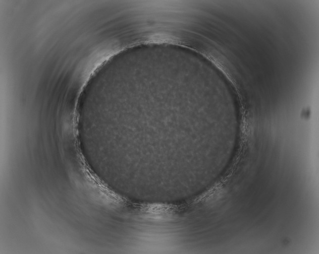 X0000115720832200912031549
