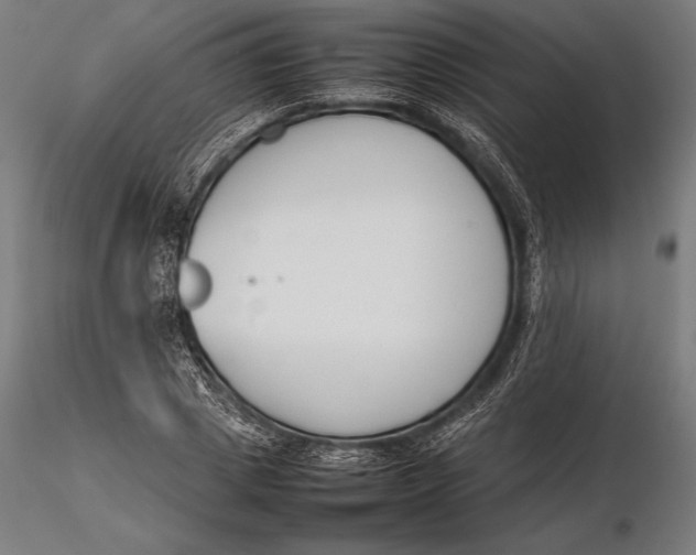 X0000115720833200912031549