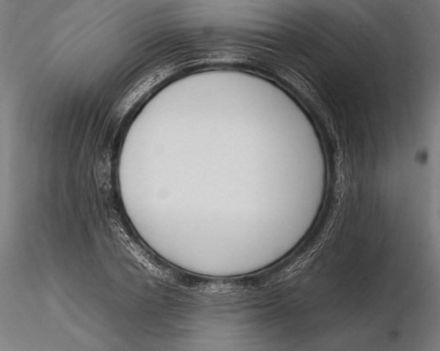 X0000115720834200912031549