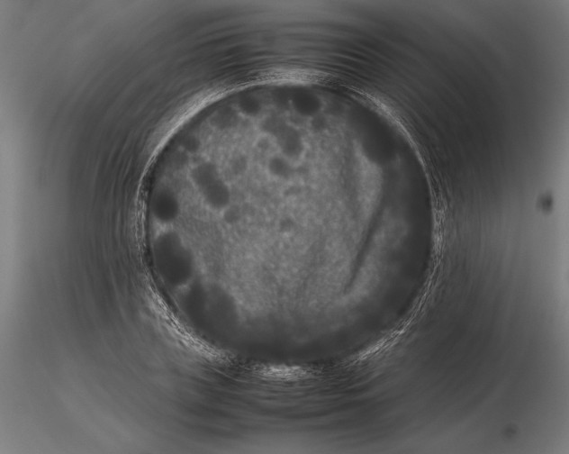 X0000115720835200912031549