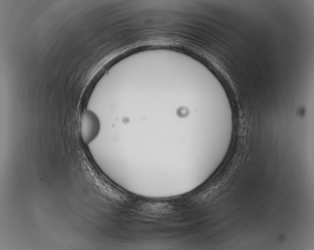 X0000115720837200912031549