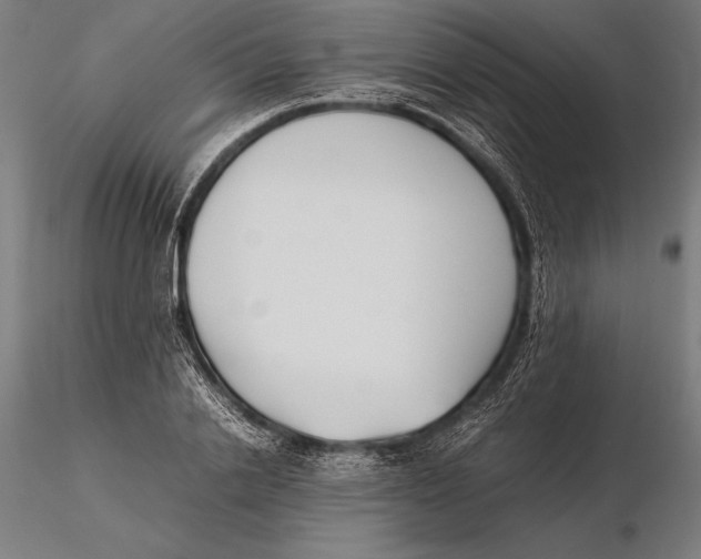 X0000115720838200912031549