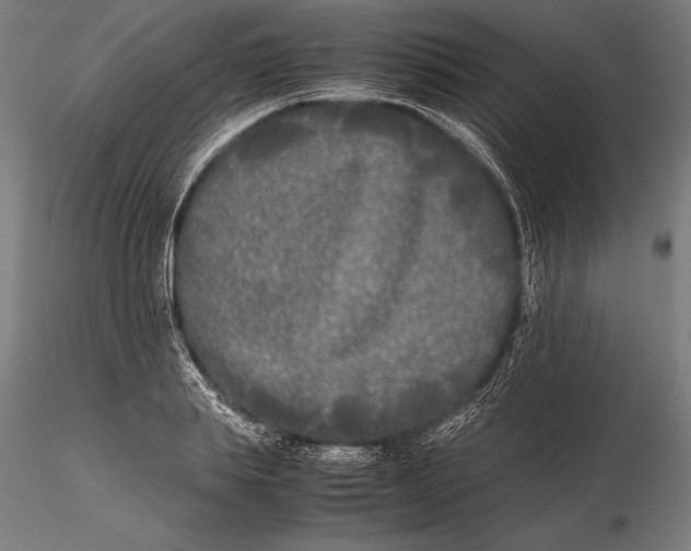X0000115720839200912031549