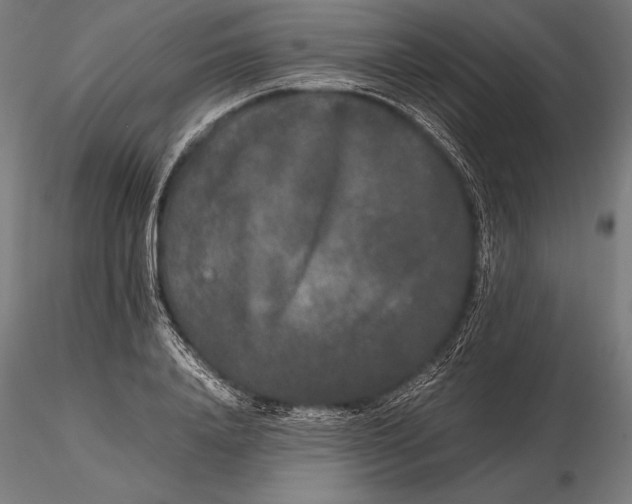 X0000115720840200912031549