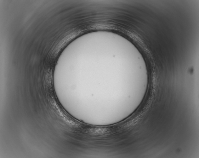 X0000115720841200912031549
