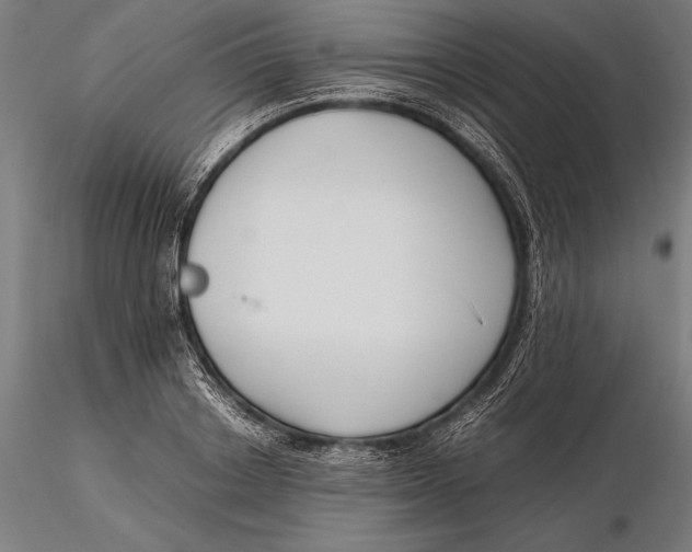 X0000115720842200912031549