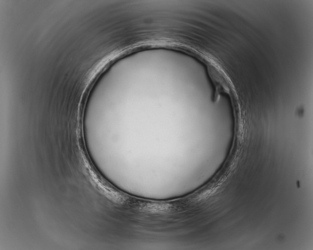 X0000115720845200912031549
