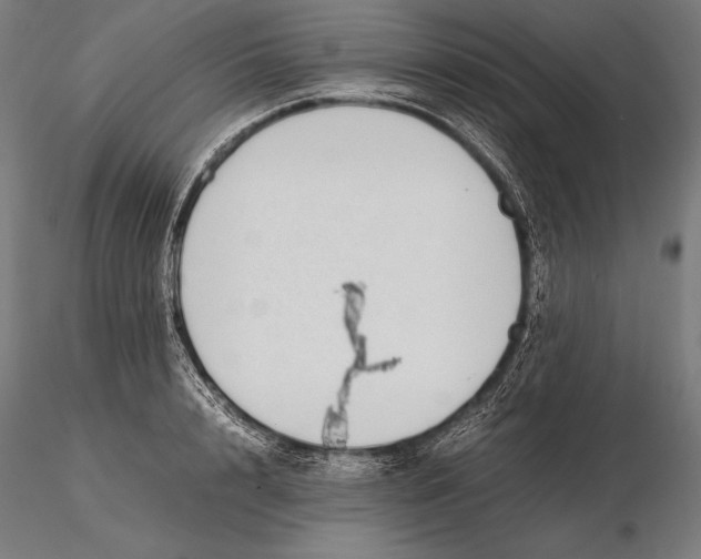 X0000115720848200912031549