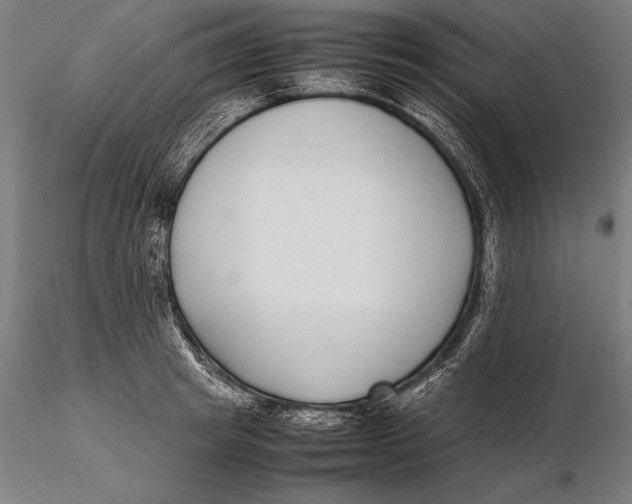 X0000115720849200912031549