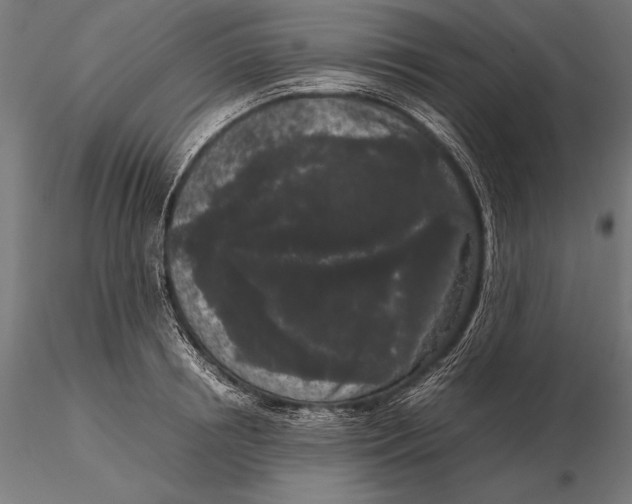 X0000115720850200912031549