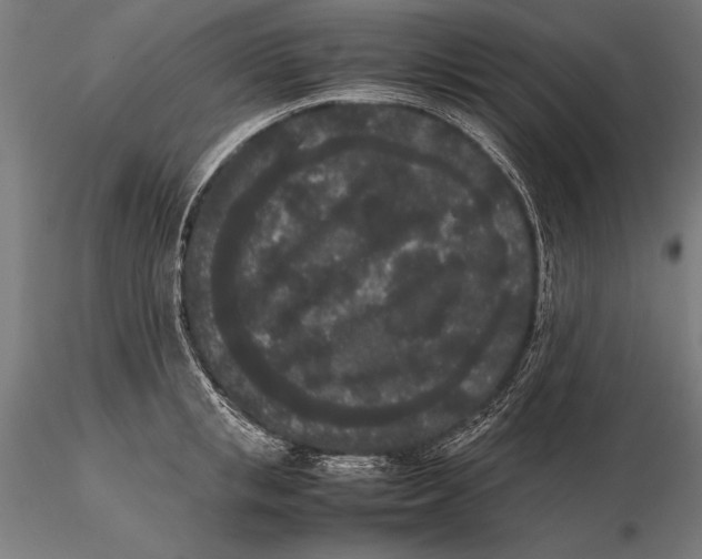X0000115720853200912031549