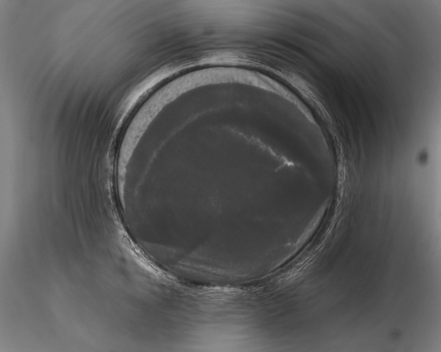 X0000115720854200912031549