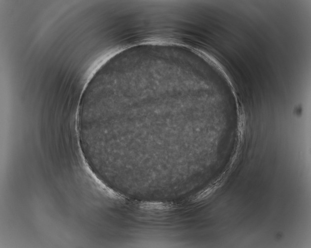 X0000115720855200912031549