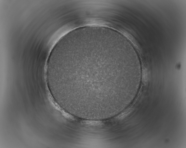 X0000115720856200912031549