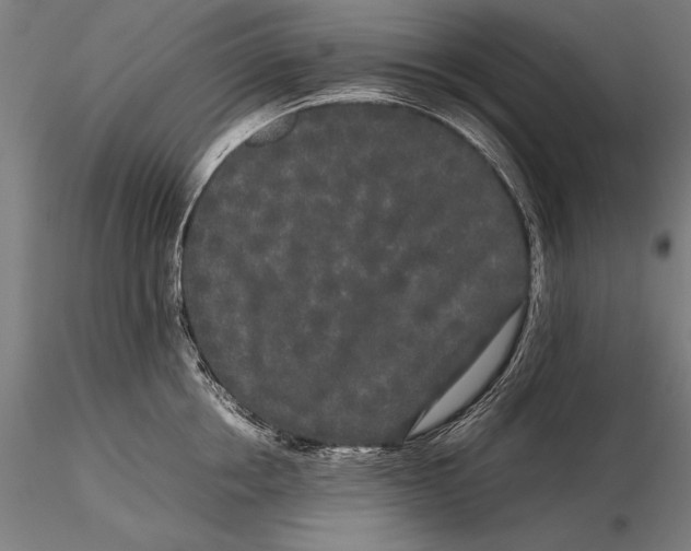 X0000115720858200912031549