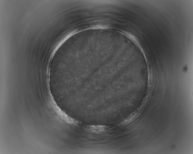 X0000115720859200912031549