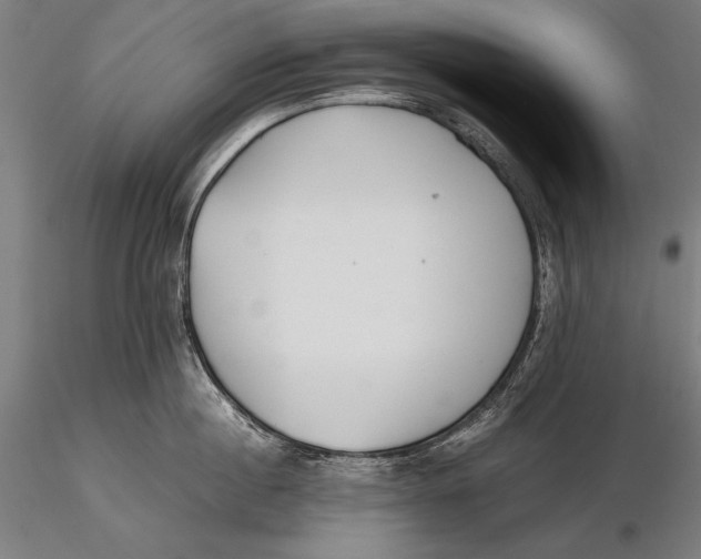 X0000115720860200912031549