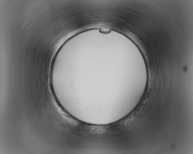 X0000115720861200912031549