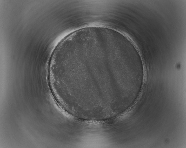 X0000115720862200912031549