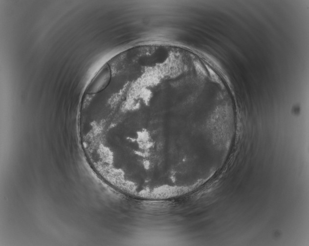 X0000115720863200912031549