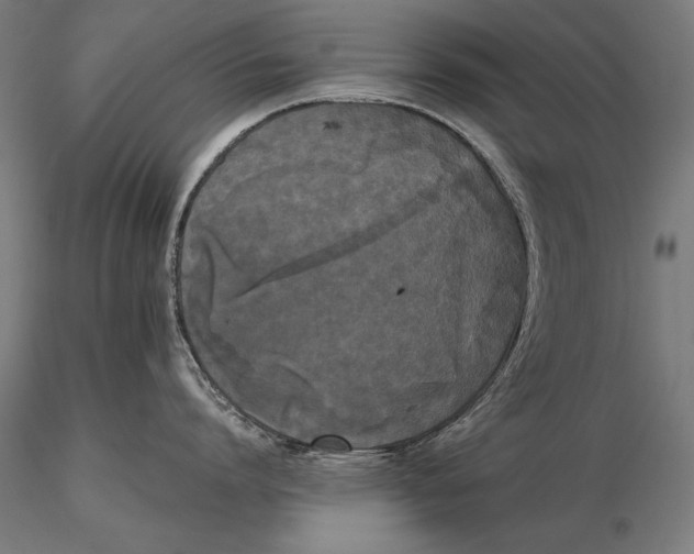 X0000115720864200912031549