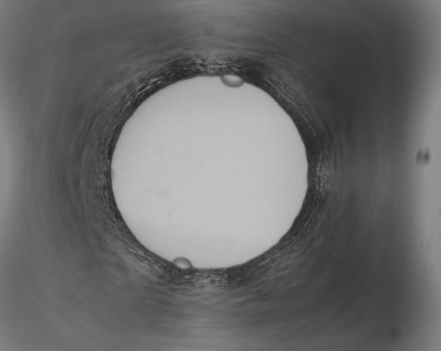 X0000115720865200912031549